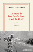 Couverture La chute de Luis Ocaña dans le col de Menté ()