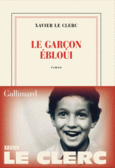 Couverture Le garçon ébloui ()