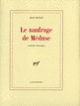 Couverture Le naufrage de Méduse (Jean Ristat)