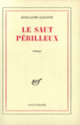 Couverture Le saut périlleux (Guillaume Gaulène)