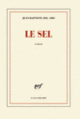 Couverture Le sel (Jean-Baptiste Del Amo)