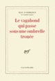 Couverture Le vagabond qui passe sous une ombrelle trouée (Jean d' Ormesson)