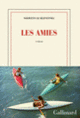 Couverture Les amies (Nolwenn Le Blevennec)