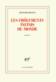 Couverture Les frôlements infinis du monde ()