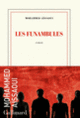 Couverture Les funambules (Mohammed Aïssaoui)