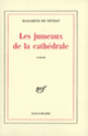 Couverture Les Jumeaux de la cathédrale (Élisabeth de Neyrat)