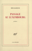 Couverture Passage au Luxembourg ()