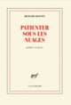 Couverture Patienter sous les nuages (Richard Rognet)