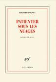 Couverture Patienter sous les nuages ()