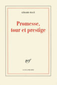 Couverture Promesse, tour et prestige ()