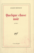 Couverture Quelque chose noir ()