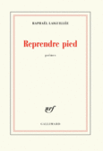 Couverture Reprendre pied ()