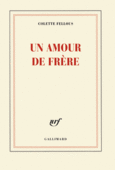 Couverture Un amour de frère ()