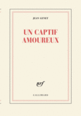 Couverture Un captif amoureux ()
