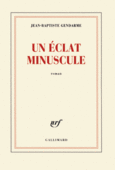 Couverture Un éclat minuscule ()