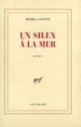 Couverture Un silex à la mer ()