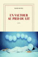 Couverture Un vautour au pied du lit (David McNeil)