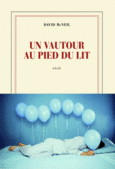 Couverture Un vautour au pied du lit ()