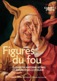 Couverture Figures du fou (,Pierre-Yves Le Pogam)