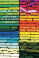 Couverture Les Matériaux de la couleur (François Delamare,Bernard Guineau)