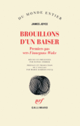 Couverture Brouillons d'un baiser ()