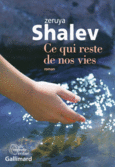 Couverture Ce qui reste de nos vies ()