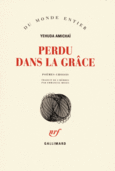 Couverture Perdu dans la grâce () Couverture Perdu dans la grâce ()