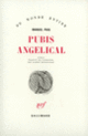 Couverture Pubis angelical (Manuel Puig)