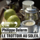 Couverture Le trottoir au soleil (Philippe Delerm)
