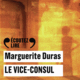 Couverture Le Vice-Consul ()