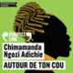 Couverture Autour de ton cou (Chimamanda Ngozi Adichie)