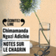 Couverture Notes sur le chagrin (Chimamanda Ngozi Adichie)