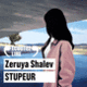 Couverture Stupeur (Zeruya Shalev)