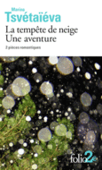 Couverture La tempête de neige – Une aventure ()
