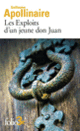 Couverture Les Exploits d'un jeune don Juan (Guillaume Apollinaire)