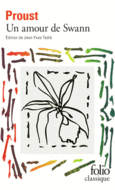 Couverture Un amour de Swann ()