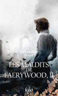 Couverture Les maudits de Faerywood ()