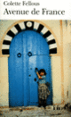 Couverture Avenue de France (Colette Fellous) Couverture Avenue de France (Colette Fellous)