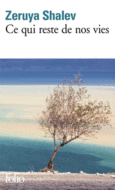 Couverture Ce qui reste de nos vies ()