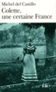 Couverture Colette, une certaine France (Michel Del Castillo)