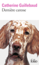 Couverture Dernière caresse (Catherine Guillebaud)