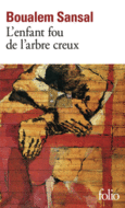 Couverture L'enfant fou de l'arbre creux ()