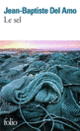Couverture Le sel (Jean-Baptiste Del Amo)
