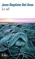 Couverture Le sel ()