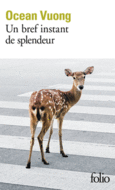 Couverture Un bref instant de splendeur ()