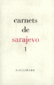 Couverture Carnets de Sarajevo 1 (Eva Almassy,Alain Borer,Collectif(s) Collectif(s),Erri De Luca,Rajko Djuric,Nedim Gürsel,Jean-Marie Laclavetine,Caroline Lamarche,Yves Laplace,Björn Larsson,Yvon Le Men,Predrag Matvejevic,Senadin Musabegovic,Patrick Rambaud,Mireille Robin,Tomaz Salamun,Izet Sarajlic,Peter Schneider,Abdulah Sidran,Vidosav Stevanovic,Brina Svit,Vule Zuric)