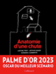 Couverture Anatomie d'une chute (Arthur Harari,Justine Triet)