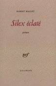 Couverture Silex éclaté ()