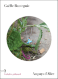 Couverture Au pays d'Alice ()