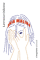 Couverture Ania Malina (Lawrence Osborne)